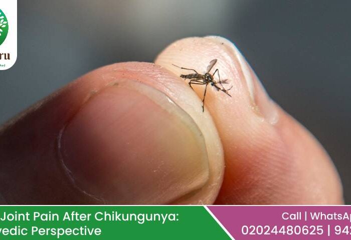 Fighting Joint Pain After Chikungunya: An Ayurvedic Perspective