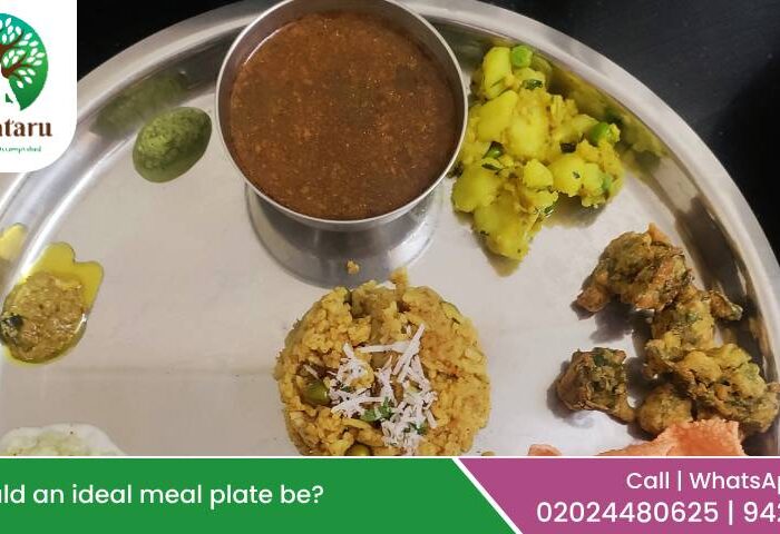 How should an ideal meal plate be?